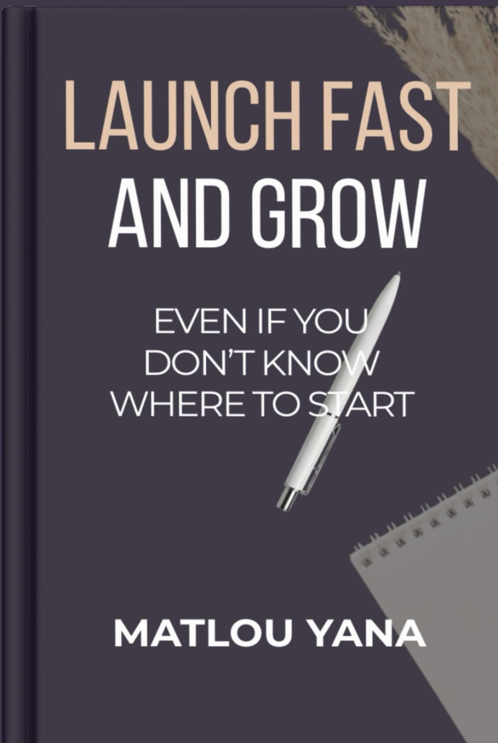 LAUNCH FAST AND GROW: EVEN IF YOU DON’T KNOW WHERE TO START