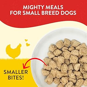 Stella & Chewy’s Freeze-Dried Uncooked Lil’ Bites Rooster Little Recipe Small Breed Canine Meals, 7 oz. Bag