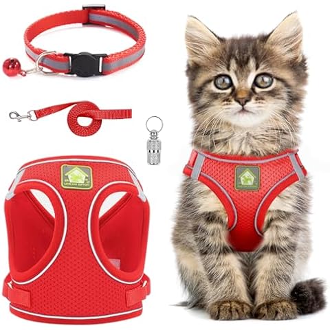 Cat Harness and Lead Set Cover