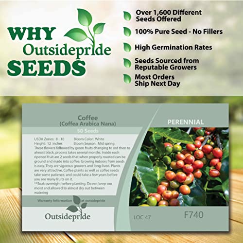 Outsidepride Perennial Coffee Bean Garden Plant Seeds Coffea Arabica - 100 Seeds #TOP5