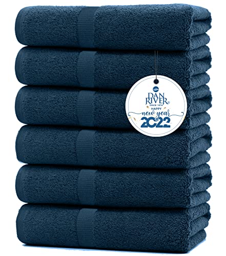 DAN RIVER 100% Cotton Bath Towel Set Pack of 6| Soft Large Bath Towel| Highly Absorbent| Daily Usage Bath Towel| Ideal for Pool Home Gym Spa Hotel| Blue Opal Towel Set|Bath Towel Set 24x48 in|450 GSM
