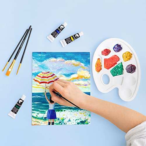 Set Pinturas (40 piezas) Zenacolor - 24x12ml Pinturas acrilicas, 5 lienzos para Pintar, 10 Pinceles, 1 Paleta - Set para Artistas - imagen 3