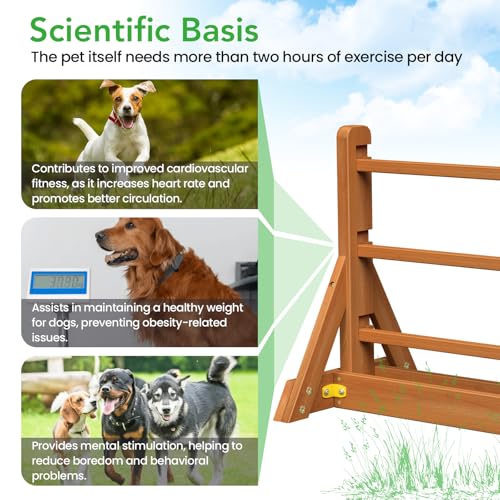 Dog-Agility-Set-Wooden-Dog-Agility-Jumps-Dog-HurdlesDog-Agility-Equipment-Dog-Agility-CourseDog-Agility-Course-Backyard-SetObstacle-Course-for-DogsDog-Hurdles-Training-Equipment Dog Agility Set Wooden Dog Agility Jumps Dog HurdlesDog Agility Equipment Dog Agility CourseDog Agility Course Backyard SetObstacle Course for DogsDog Hurdles Training Equipment