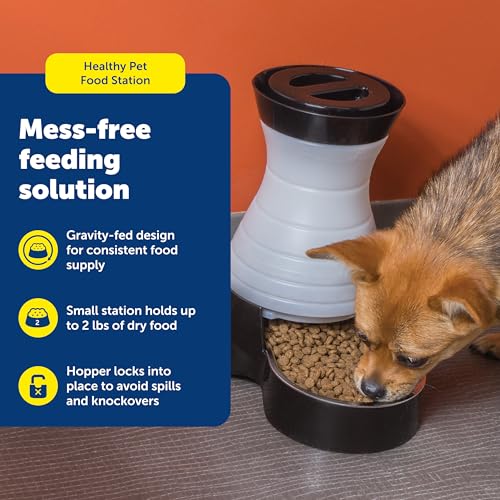 Smart WiFi Pet Feeding Station