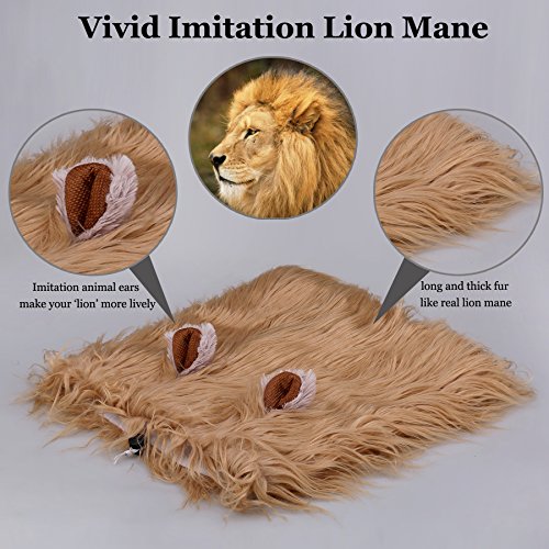 Onmygogo Löwenmähne Perücke für Hunde mit Ohren, lustige Haustierkostüme für Halloween Weihnachten (Größe L, Gelb)