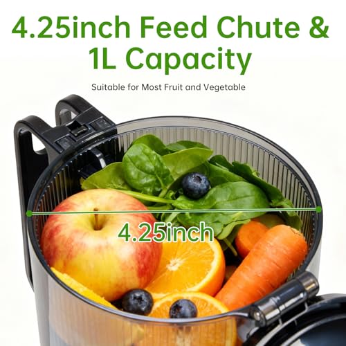 Image of NEWBULIG Cold Press Juicer Machines for Vegetables & Fruits, Silver | Slow Masticating Juicer Machine with Reverse Function, 4.25 inch Feed Chute, Stops Oxidation and Easy to Clean