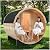 ZONEMEL Indoor and Outdoor Barrel Sauna Room with Porch, Asphalt Shingle Roof, Canadian Hemlock Wood Steam Sauna with 6KW Harvia Heater, Tempered Glass, Mostly for 6 People Sauna Bath