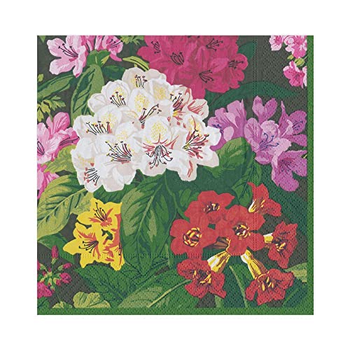 Caspari Exuberance Paper Luncheon Napkins in Black, Four Packs of 20