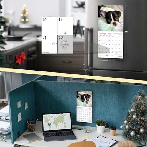 Image of RED EMBER French Bulldog Puppies 2026 Mini Wall Calendar 12 Month | 7 inch x 14 inch Open | Thick & Sturdy Paper | Giftable | Cute Frenchie Puppy Dog Calendar 2026