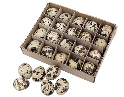Steingaesser 20 STK Wachteleier ausgeblasen Naturdeko Osterschmuck Basteln...