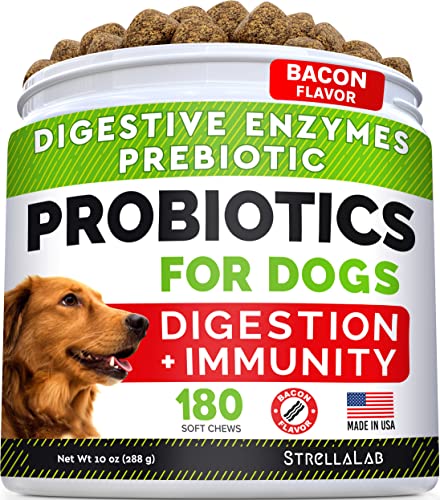 Dog Probiotics Treats for Picky Eaters - Digestive Enzymes + ...
