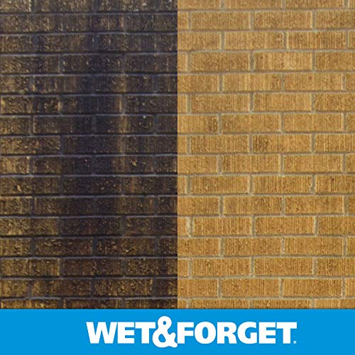 Wet & Forget E800003 Moss, Mold, Mildew, & Algae Stain Remover Multi-Surface Outdoor Cleaner Concentrate thumb #1