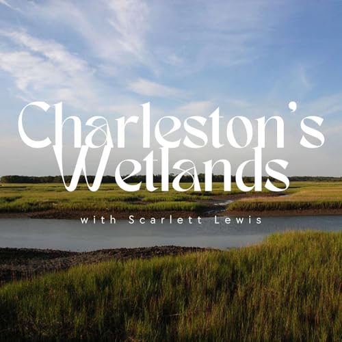 Introduction to Charleston's Wetlands