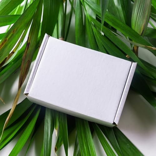 Image of BonKaso 3 Ply White Flap Corrugated Boxes for Packaging | 8 inchx4 inchx2 inch (Pack of 50) | Cardboard Packing Box for Shipping, Moving & Storage | Cartons for Courier & Goods Transportation.