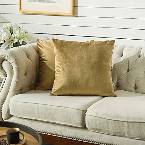 FY FIBER HOUSE Pack of 2 Velvet Pillow Covers Decorative Square Pillowcase Soft Solid Cushion Case for Sofa/Couch Use, 18 x 18 Inch Coffee Cover