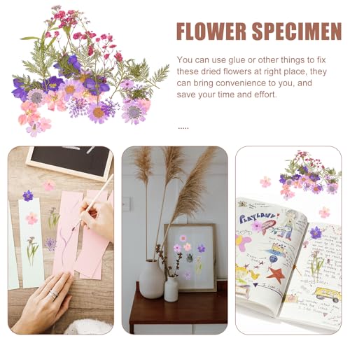 Mezcla de Flores Secas Artesanales 27 Piezas Kit DIY miniatura 7