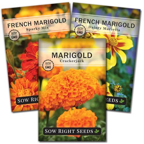 Sow Right Seeds - Marigold Collection Flower Seeds for...