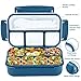 shell and turtle Bento Box Adult Lunch Box, Kids Lunch Containers for School with 4 Compartments, with Utensils, Sauce Jar, Muffin Liners, Microwave Safe, Navy