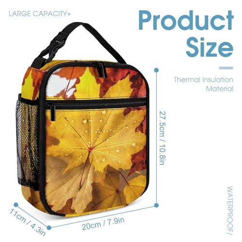 Autumn Leaves Maple Backpack Set Lightweight Bag Lunch Box Pencil Bags for Women Men Bookbags 3 in 14