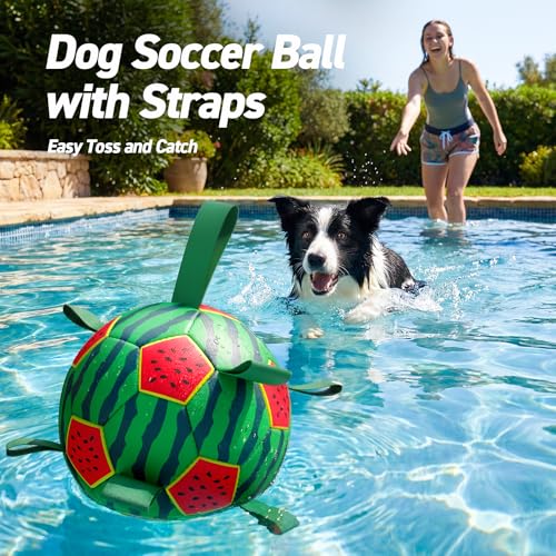 Image of QDAN Dog Water Toys, Pool Toys for Dogs Swimming Beach Fun, Watermelon Ball for Summer Outdoor Games (7 inch)