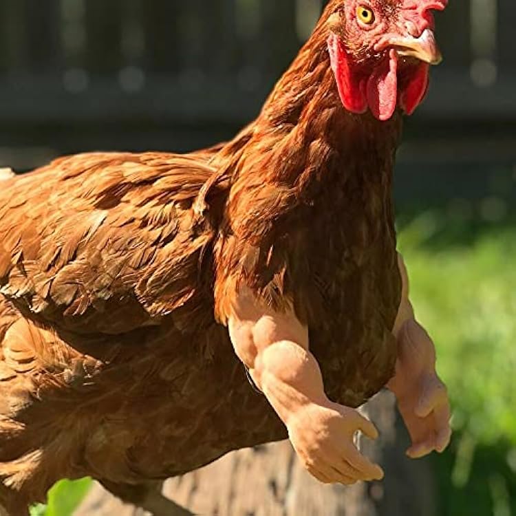 N.H 1Pcs Baby Chicken Fist Chicken Strong Chicken Arms Made in Texas USA Meme Fighting 3D Printed Doll Hands Muscle Arms