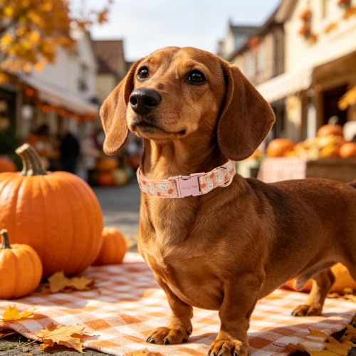 Image of ARING PET Halloween Dog Collar, Cute Autumn Orange Pumpkin Ghost Heavy Duty Doggy Collars for Puppy Small Medium Large Boy Girl Dogs-S