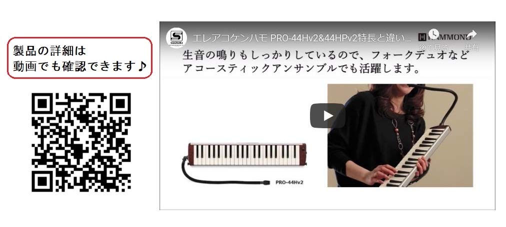 Amazon.com: HAMMOND ハモンド HAMMOND44 PRO-44Hv2 鍵盤ハーモニカ 