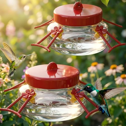 Tegarbed 6 OZ Glass Hummingbird Feeders for Outdoors Hanging 2 Pack Mason Jar Hummingbird Feeder with 4 Flower Feeding Ports and Perches Easy to Clean and Refill Decoration Transparent