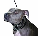 Original Illusion Collar Trainingshalsband & Leine des amerikanischen Hundeflüsterer Cesar Millan, Größe S, Schwarz