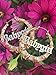 Old English Font Word 9cm elegant Large Bamboo Earrings Hip-Pop Style Fashion Party Accessory