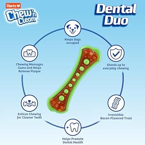 Hartz Chew 'n Clean Dental Duo Dog Treat & Chew Toy, Color Varies, Extra Small, 6 Count Hartz Chew n Clean Dental Duo Dog Treat Chew Toy Color Varies Extra Small 6 Count