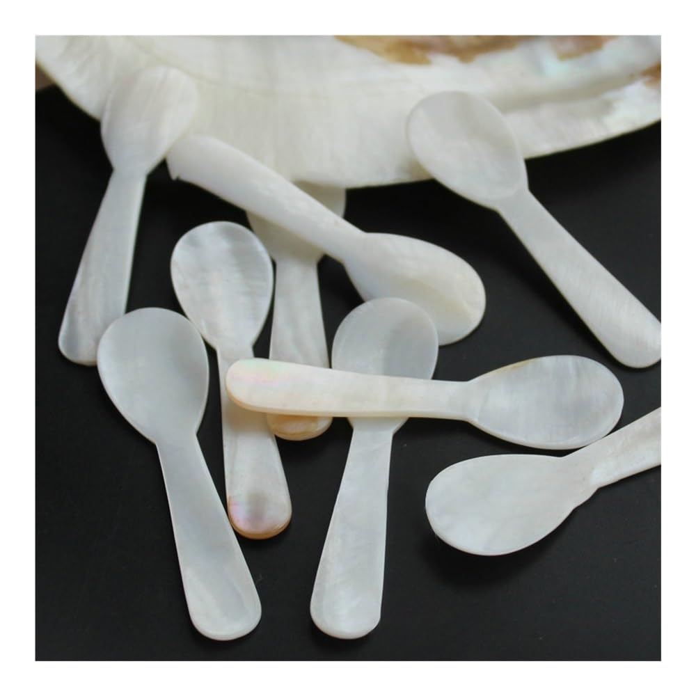 Lot de 8 cuillères à café en coquille de conque naturelle de 7,2 cm - Cuillère à café en nacre - Coquillages