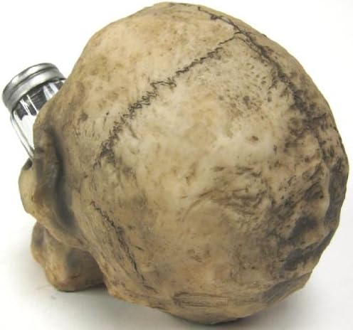 Creepy Human Skull Salt & Pepper Shaker Set