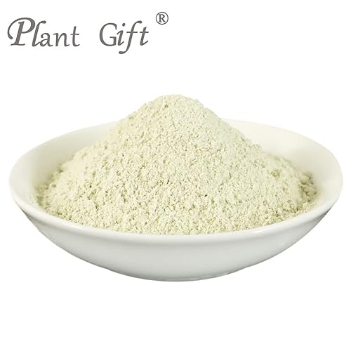 Miniatura 3 de Plant Gift Polvo de frijol mungo 100% puro, 3.25 onzas, polvo sin OMG, sin relleno, sin aditivos, harina natural de frijol mung, el mejor sabor para