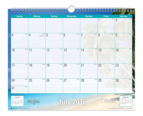 Blue Sky 2016-2017 Academic Year Wall Calendar, Wire-O Binding, 15