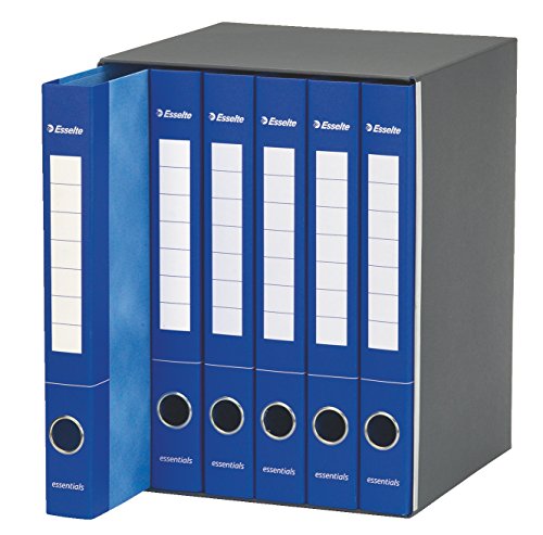 Classeur 2 anneaux Esselte S65 rigide avec dos de 4 cm
