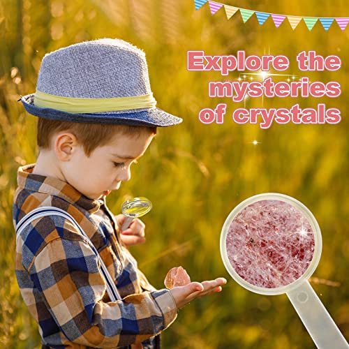 Selftek Gemstone Crystal Advent Calendar 2023 For Kids, 24 Days Rock Mineral Advent Calendar, Christmas Countdown Advent Calendar With Greeting Card For Birthday Xmas Girls Boys Geology Enthusiasts #TOP3
