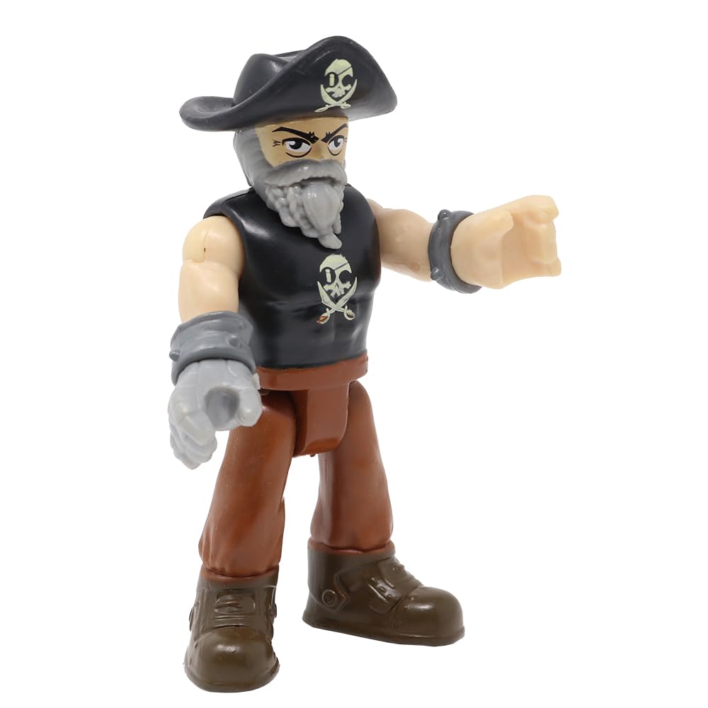 Amazon.com: Imaginext Replacement Part for Fisher-Price Pirate