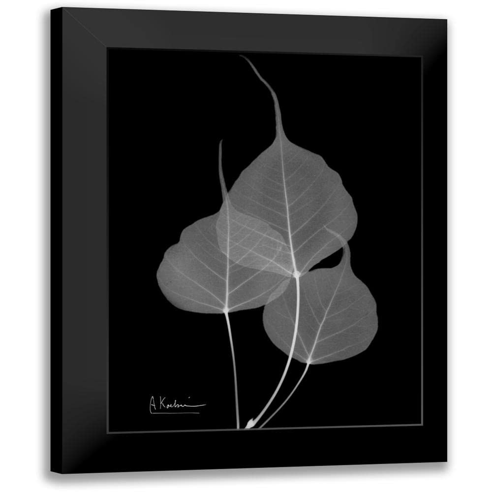 ArtDirect - Koetsier, Albert 15x18 Black Modern Framed Art Print Titled: BoTree E158