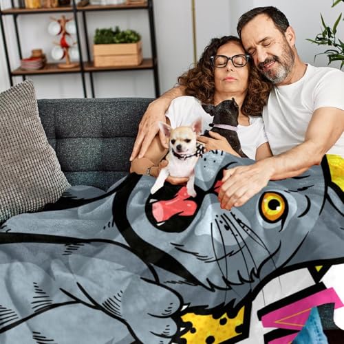 Couverture lit chat surprise pour éliminer les frissons sur le canapé