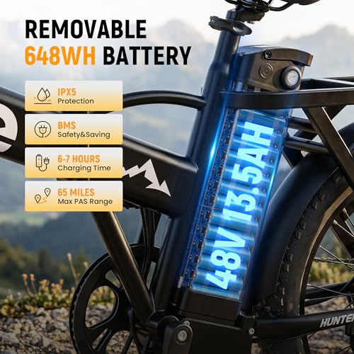 Qlife Hunter Foldable Electric Bike for Adults, Peak 1200W Ebike with 48V 13.5Ah Battery, 65-Mile Range, Heavy-Duty Rear Rack, 20-Inch Fat Tires, Folding E Bike for Commuting & Outdoor Use