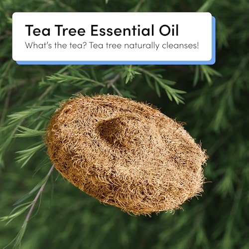 Image of TUSHY Tea Tree Coconut Husk Scrubbing Pads, Cleanser-Infused, 16 Pack