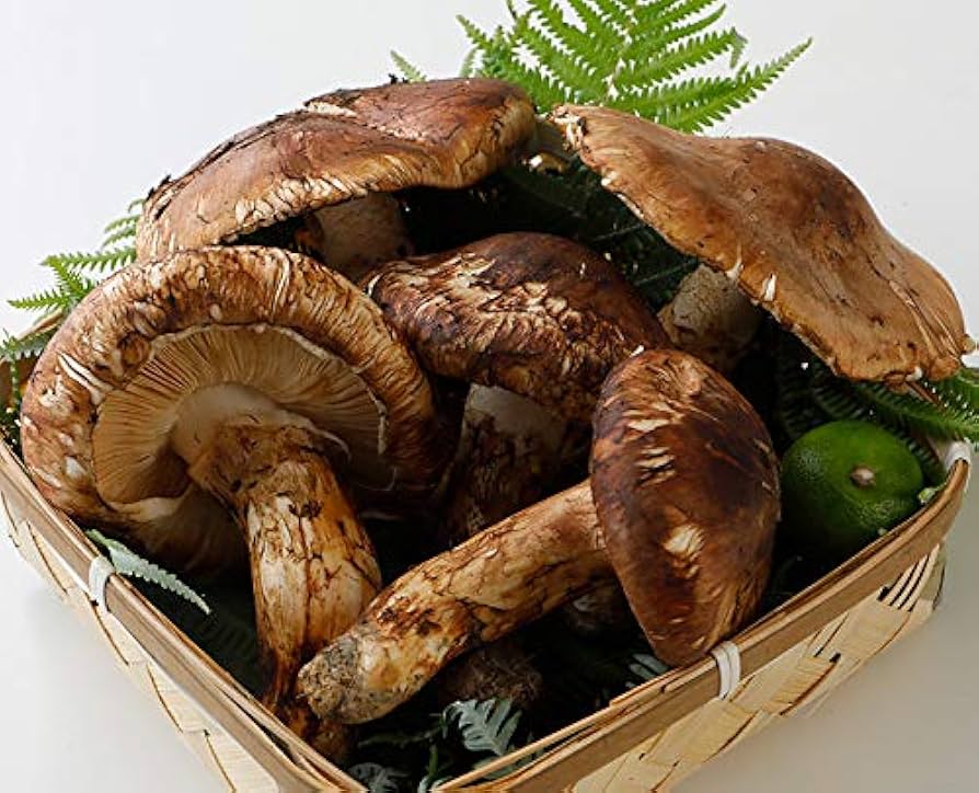 Amazon.co.jp: 国産 松茸 ひらき 約450g前後 4~8本程度 まつたけ