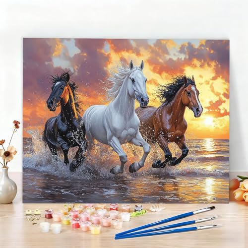 yCgoCio[ lp r[` yCgoCio[Y qp SҌ DIY LoXGLbgAN G̋ƃuVtĂ܂ ?G n W^yCeBO   rO[ Q fR[V G 100x