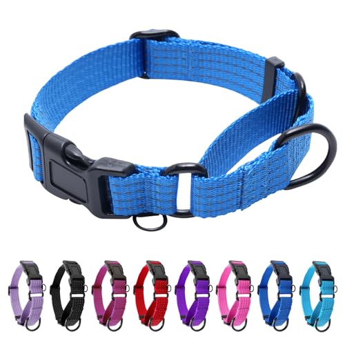 Image of Martingale Dog Collar, Reflective No Pull with Buckle, Blue, S | Escape Proof without choking ,Training Collar with Quick Release Buckle, Adjustable Heavy Duty Nylon collars for S M L Dogs