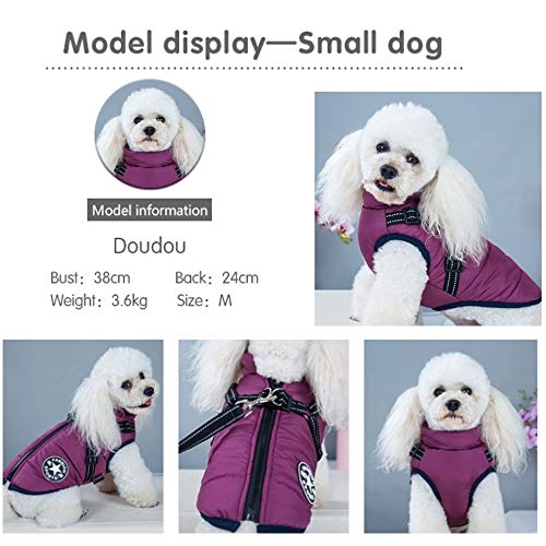 Hundejacke mit Geschirr für kleine Hunde, Outdoor-Hunde-Sportweste, warmer Haustier-Winterjacke für Katzen, Welpen, kleine Hunde