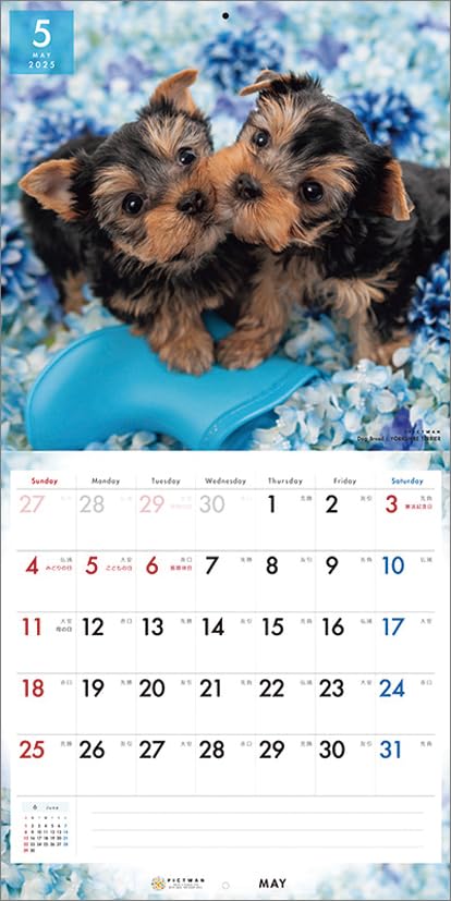 【２匹セット】DRESSY PET ヨークシャーテリア ドレッシーペット 2匹セット】DRESSY PET ヨークシャーテリア ドレッシーペット 2