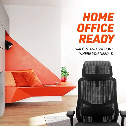 Truweo Ergonomic Executive Office Chair - Big And Tall With Inline Skate Caster Wheels – Heavy Duty Lumbar Support High Back With Premium Gas Lift #TOP6