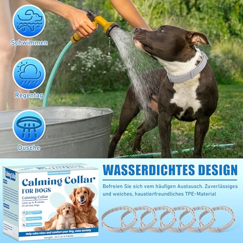 Yineaae 6 Stück Beruhigungsmittel Calm Halsbänder für Hunde mit Pheromon, Beruhigung Hund Hilft Unerwünschtes Verhalten zu Reduzieren, Stressabbau, Hält 120 Tage, Flexibel Einstellbar für Alle Hund