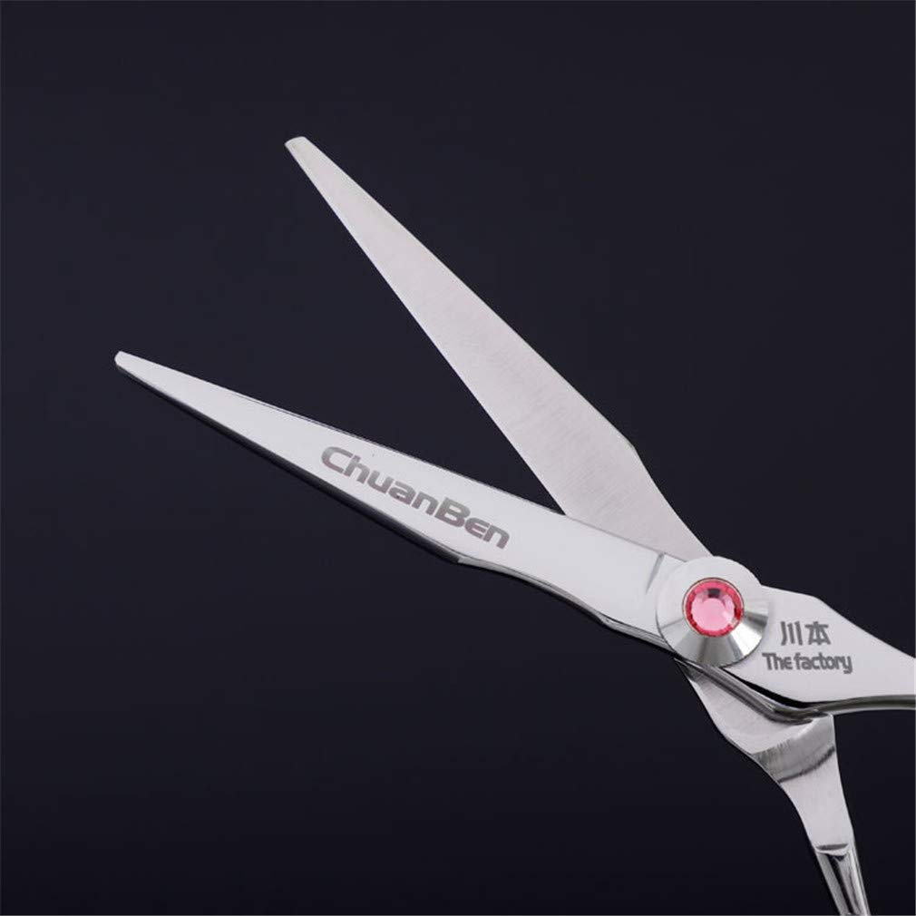 Professionelle Haarschneideschere 6,0 Zoll (Silber), Friseurscheren-Set (Gerade Scheren + Zahn Schere), Für Friseurbedarf, Durchforstung, Home Use, Salon